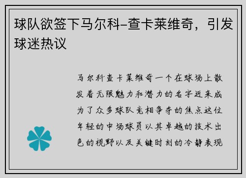 球队欲签下马尔科-查卡莱维奇，引发球迷热议